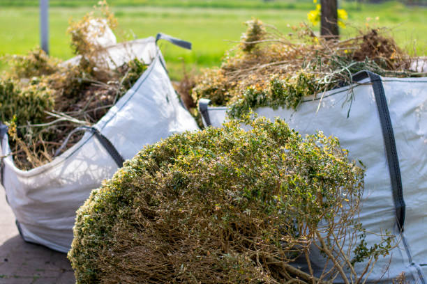 Best Junk Removal Near Me  in Wonder Lake, IL